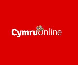 Wales Online UK